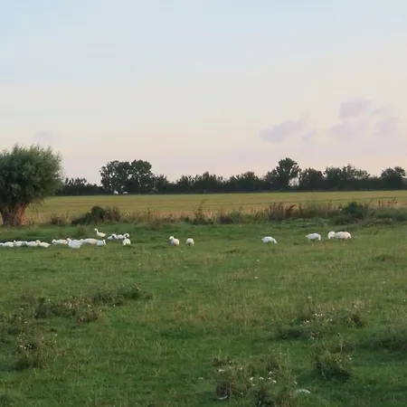 Sondermarken Oko