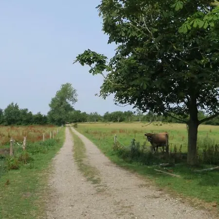 Camping Sondermarken Oko *